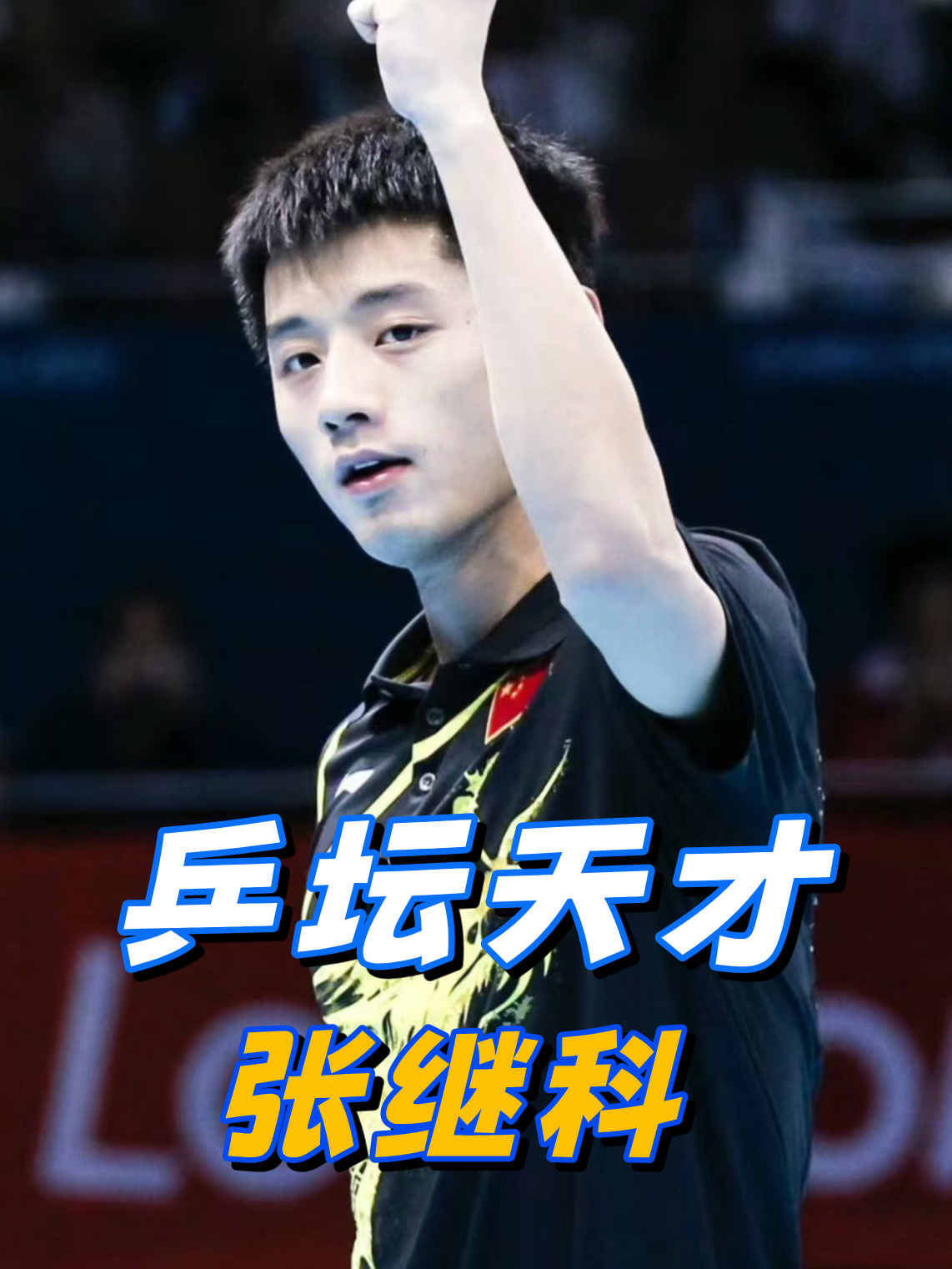 中国乒乓球队横扫日本乒乓球队，张继科高光表现的简单介绍