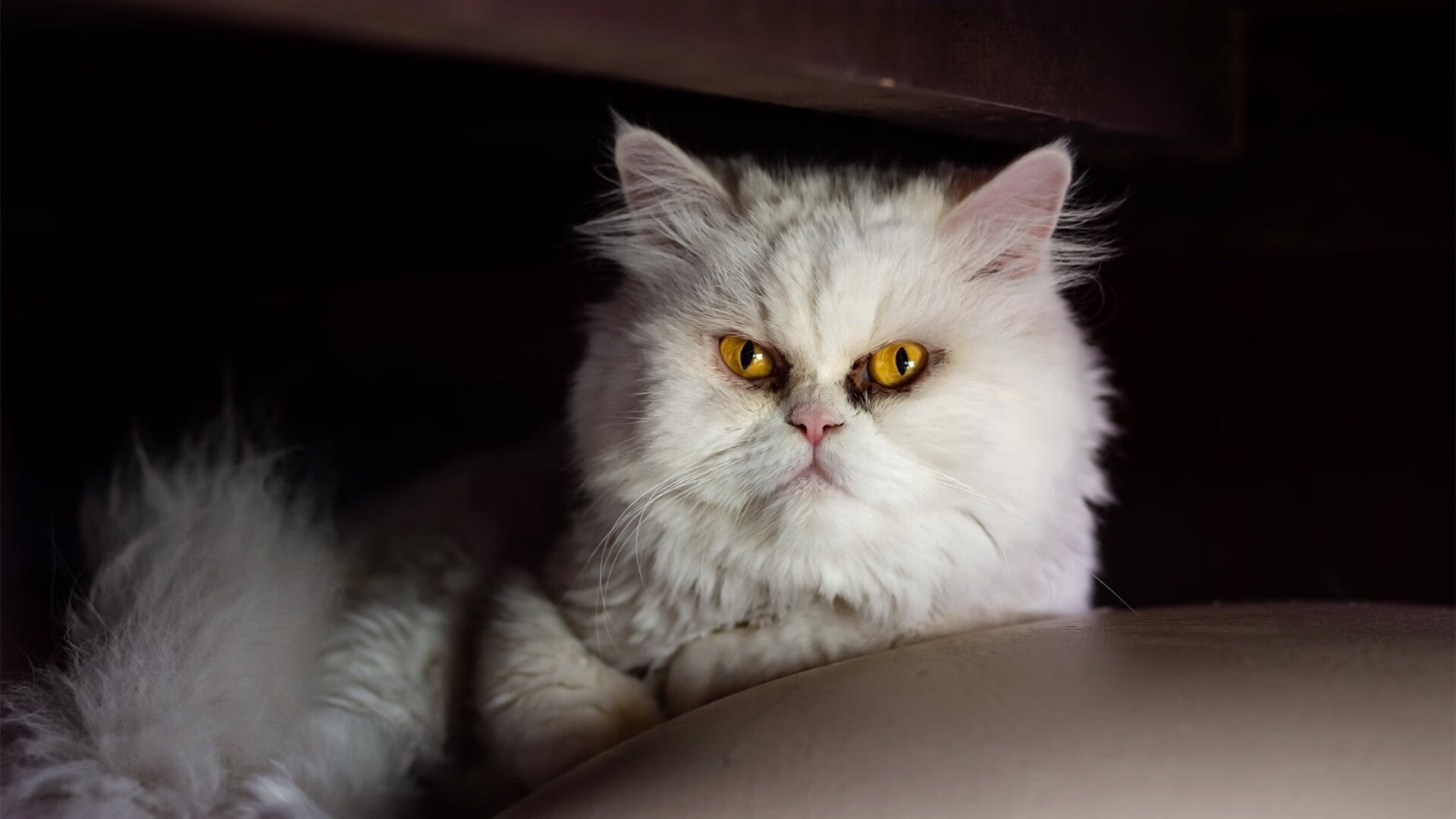 命运三分线，梁靖崑最后一秒撕裂德国队防线