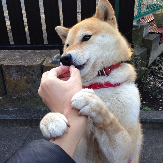 神话再临,奥亚尔萨瓦尔的绝杀之刃,希腊在深渊边缘点亮奥林匹斯之火