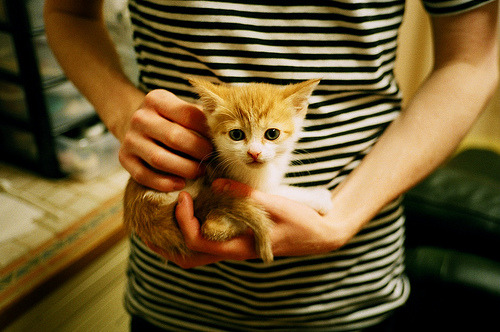 技术匠心与孤勇领袖，迈凯伦的完胜之道与维斯塔潘的负重艺术