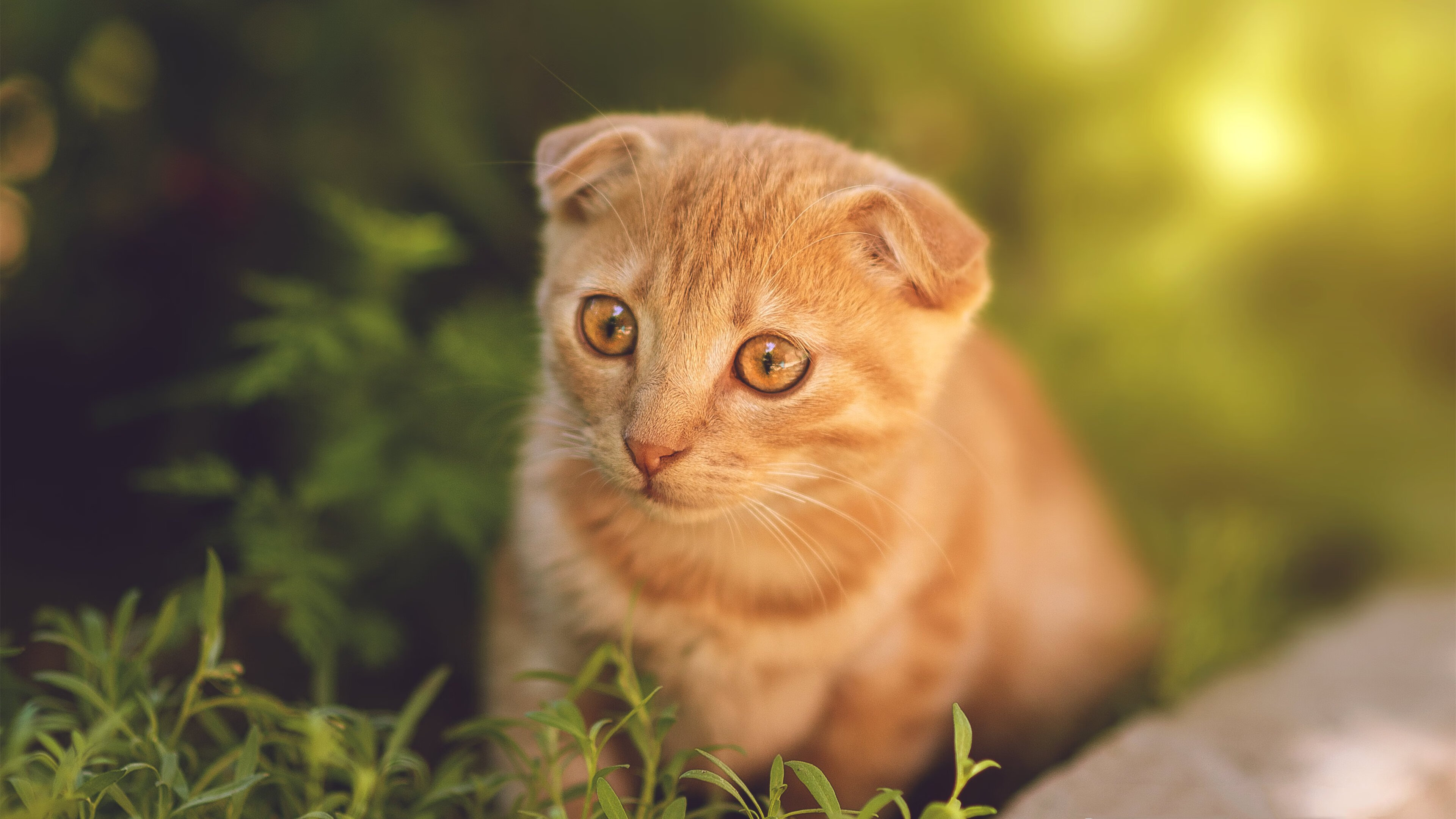 李梓嘉领衔印尼队横扫韩国,羽坛新格局诞生