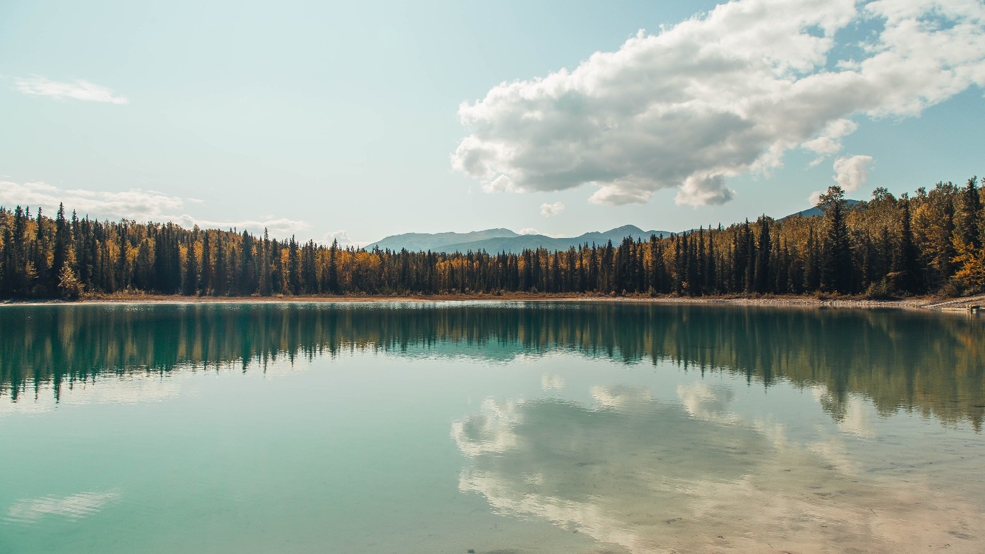 沙漠风暴吞噬咖啡军团，一场非典型的沙特式胜利
