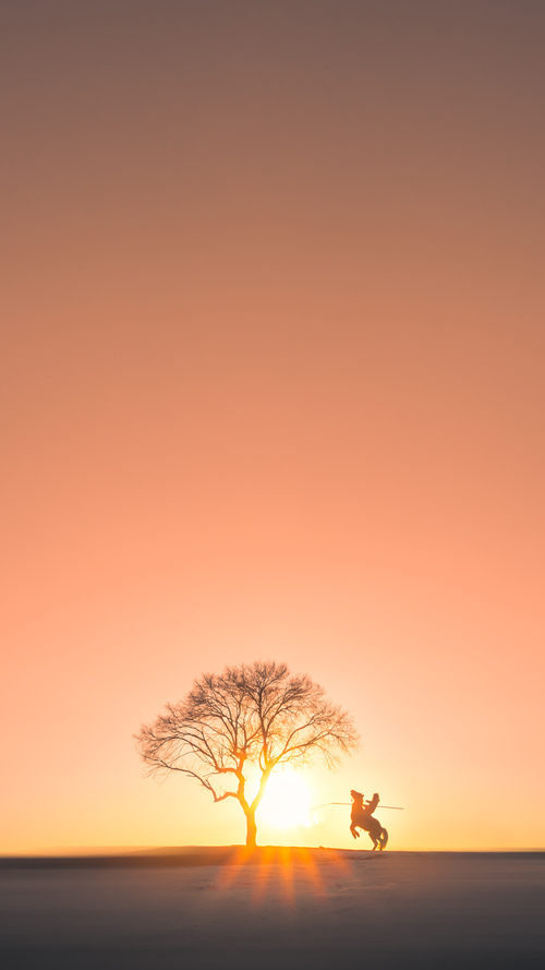 晋风破刺,当团队篮球遇上关键先生