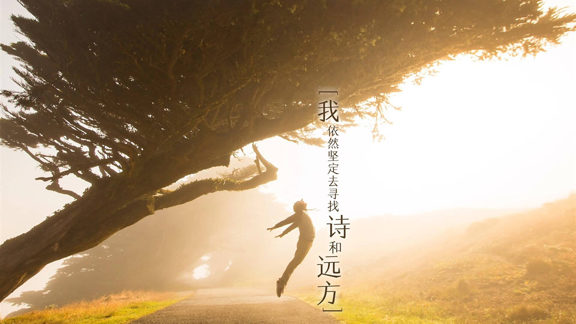 老兵不死！武切维奇生死战30+20主宰禁区，马刺抢七力克开拓者闯入总决赛