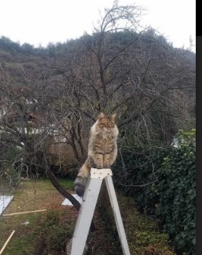 当费城76人的篮筐声,遇见乌鲁木齐的足球心跳