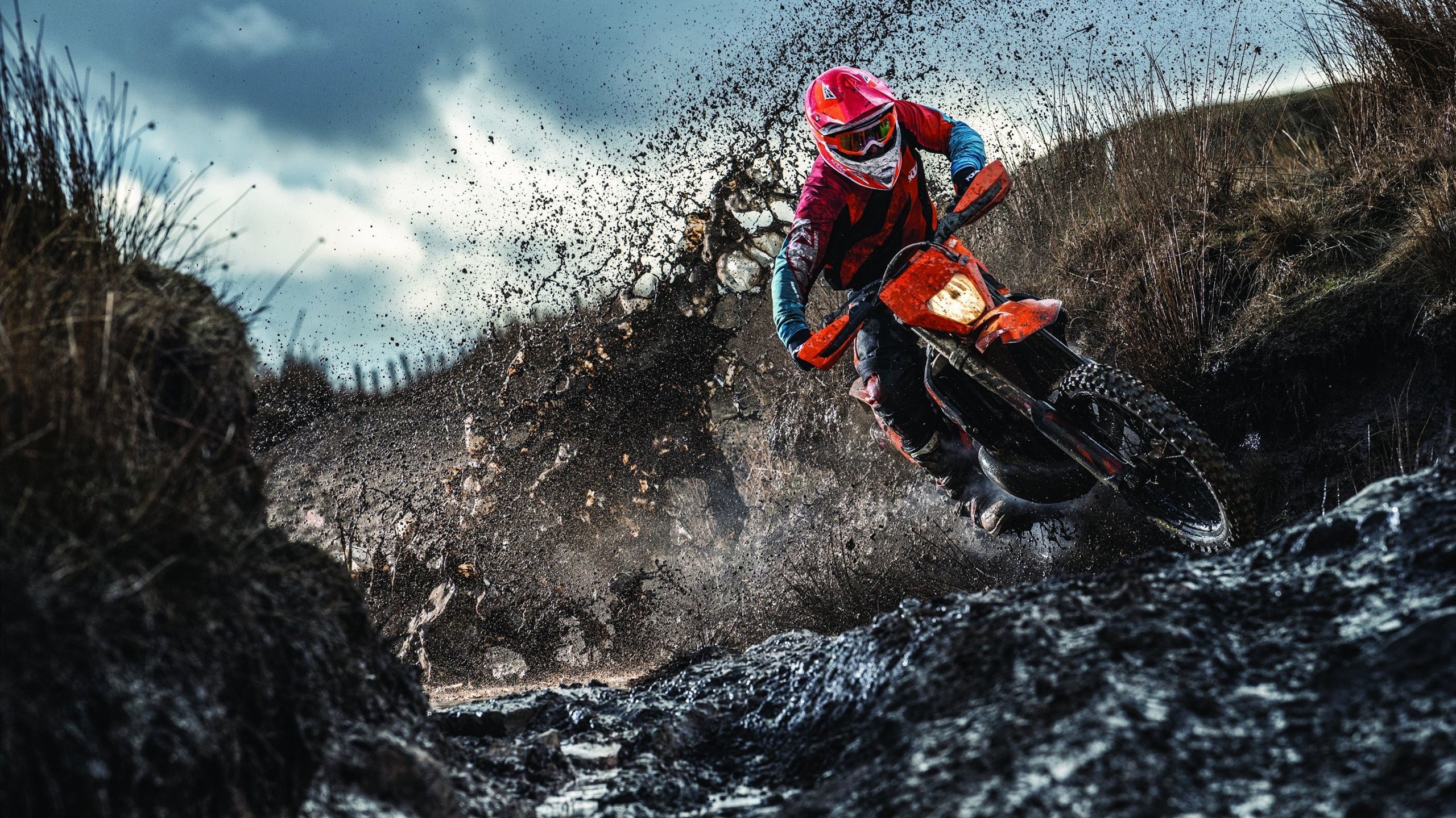 今夜，没有神迹，只有保罗