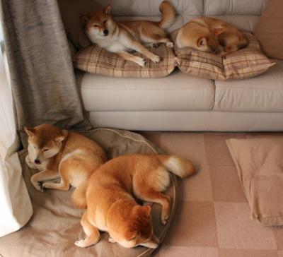 托尼铁骑折戟,一记角球如何让英格兰在基多高原窒息