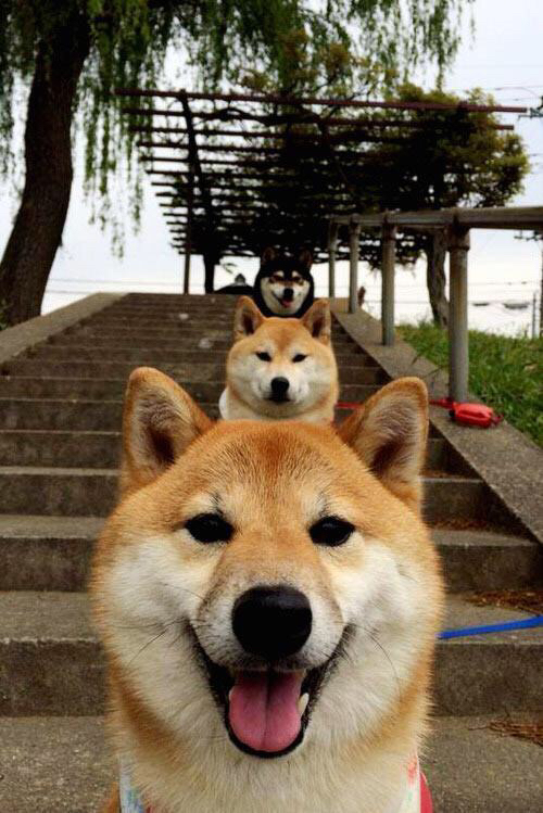 南美闪电战,阿尔瓦雷斯两射一传,切尔西友谊赛险胜委内瑞拉