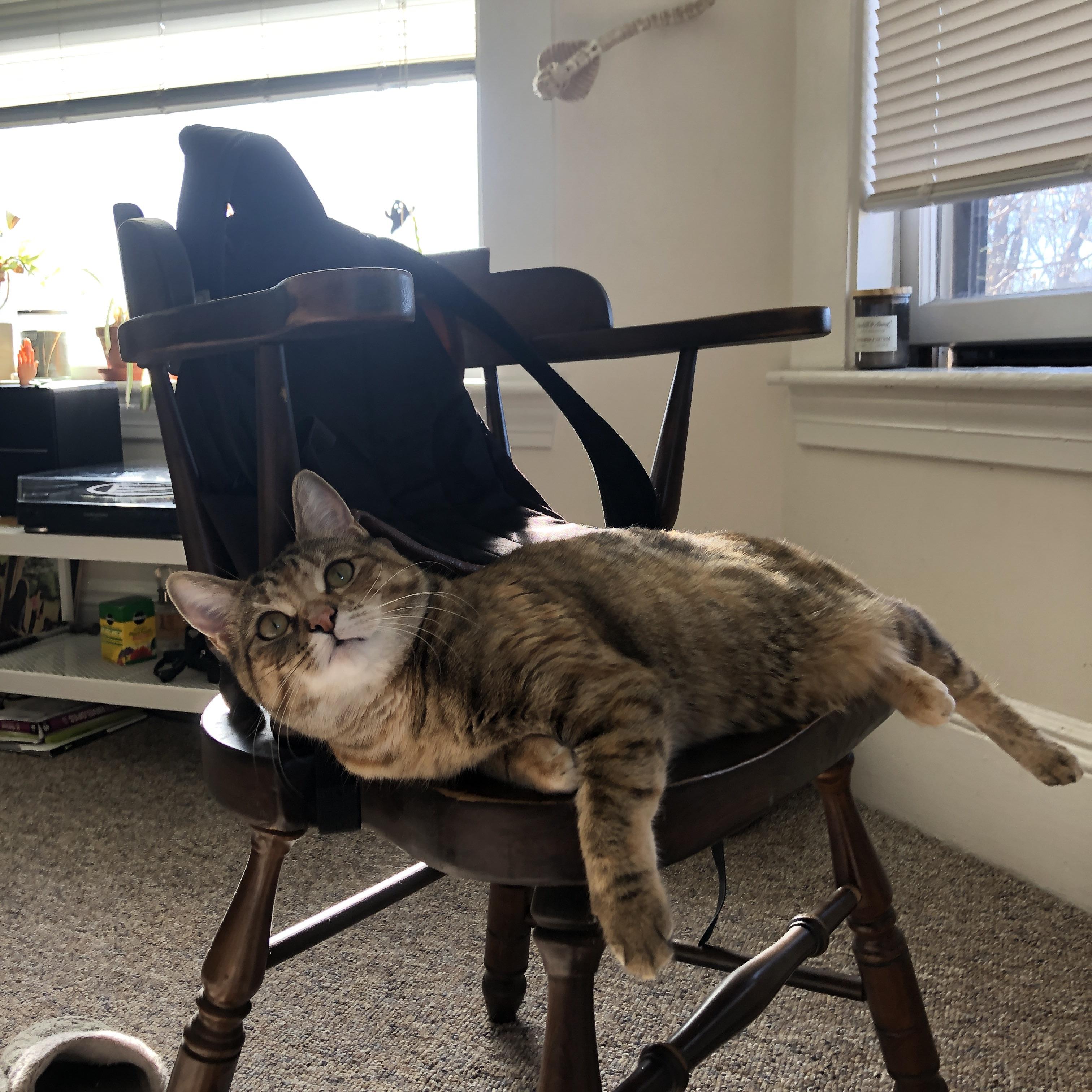 狂飙与孤胆英雄，当一波流淹没单骑救主