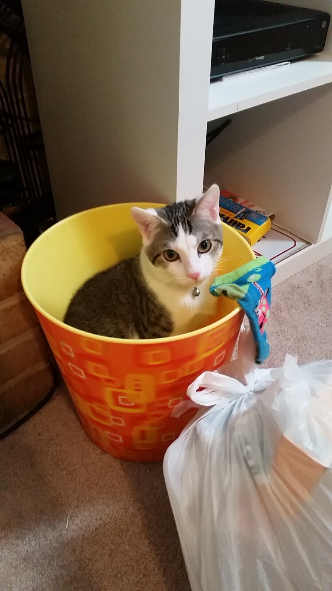 战术碾压！贝蒂斯制霸佛罗伦萨，孙兴慜一锤定音