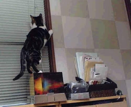 不可复刻的夜晚，那场火箭血拼马刺，在决战之城烙下最后的印记