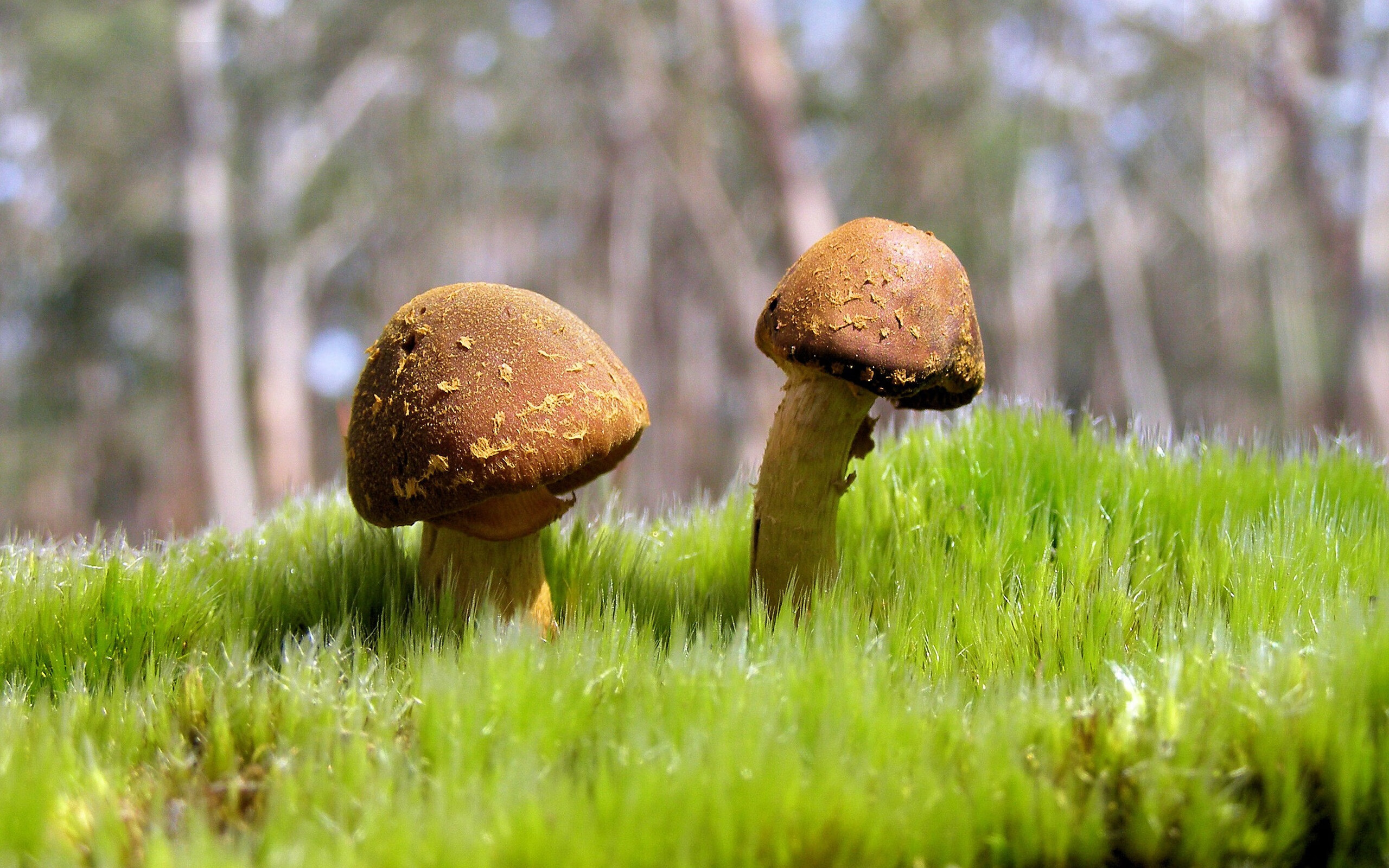 锋芒毕露!阿圭罗双响炮撕开防线,雷恩闪电战击溃马里