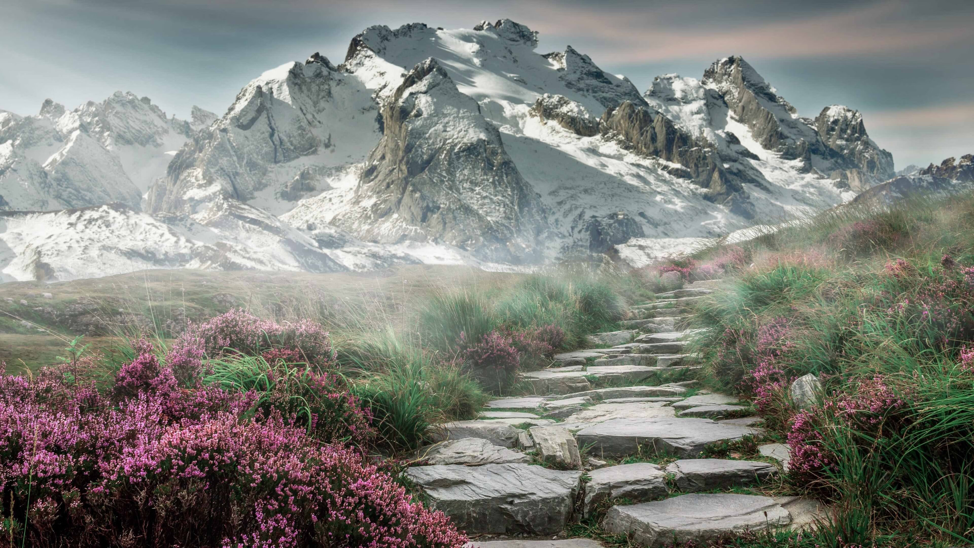 冰封与熔岩，NBA史上最安静绝杀背后的50年轮回