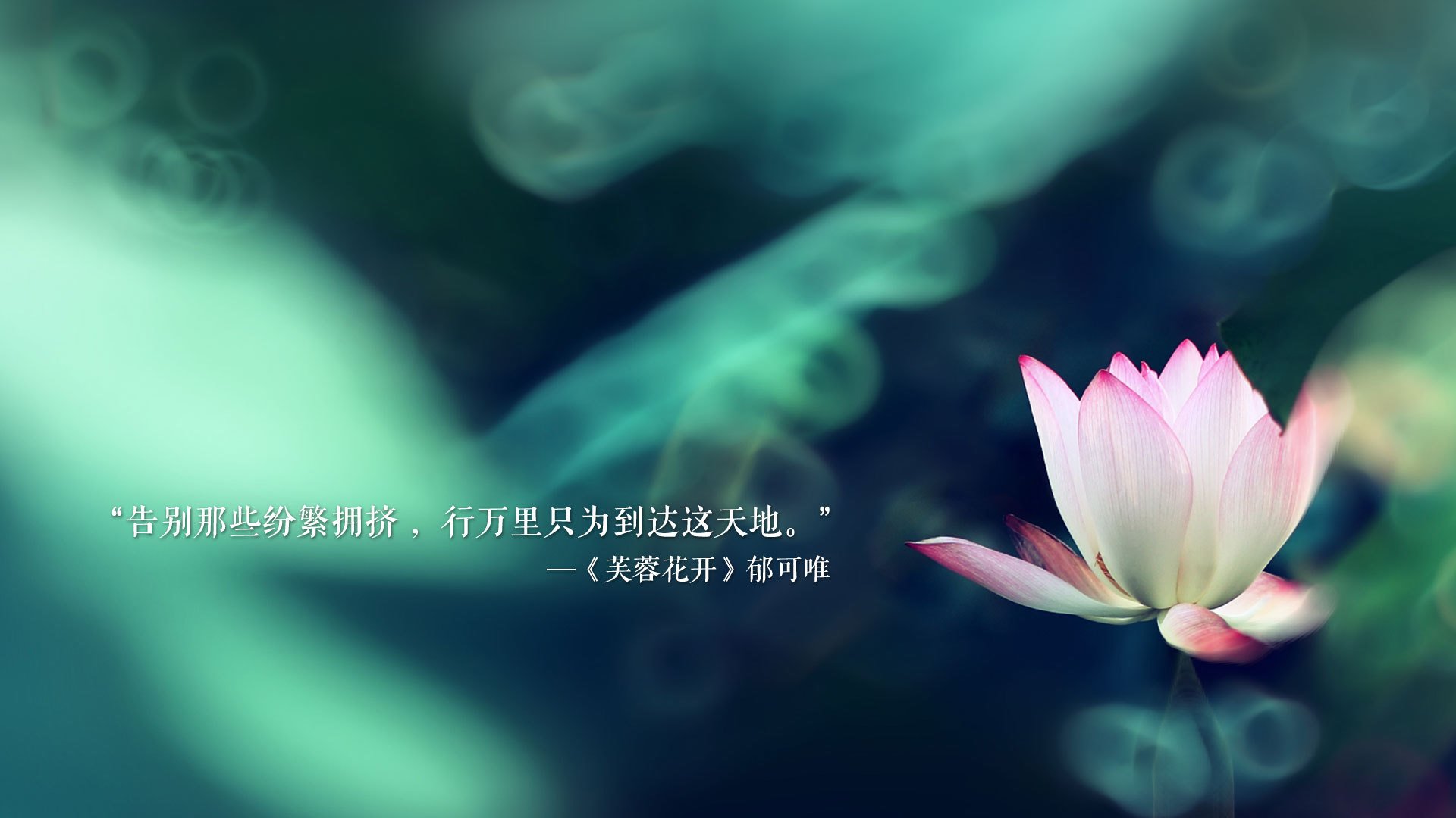 双线制胜,班凯罗油门下的篮球城
