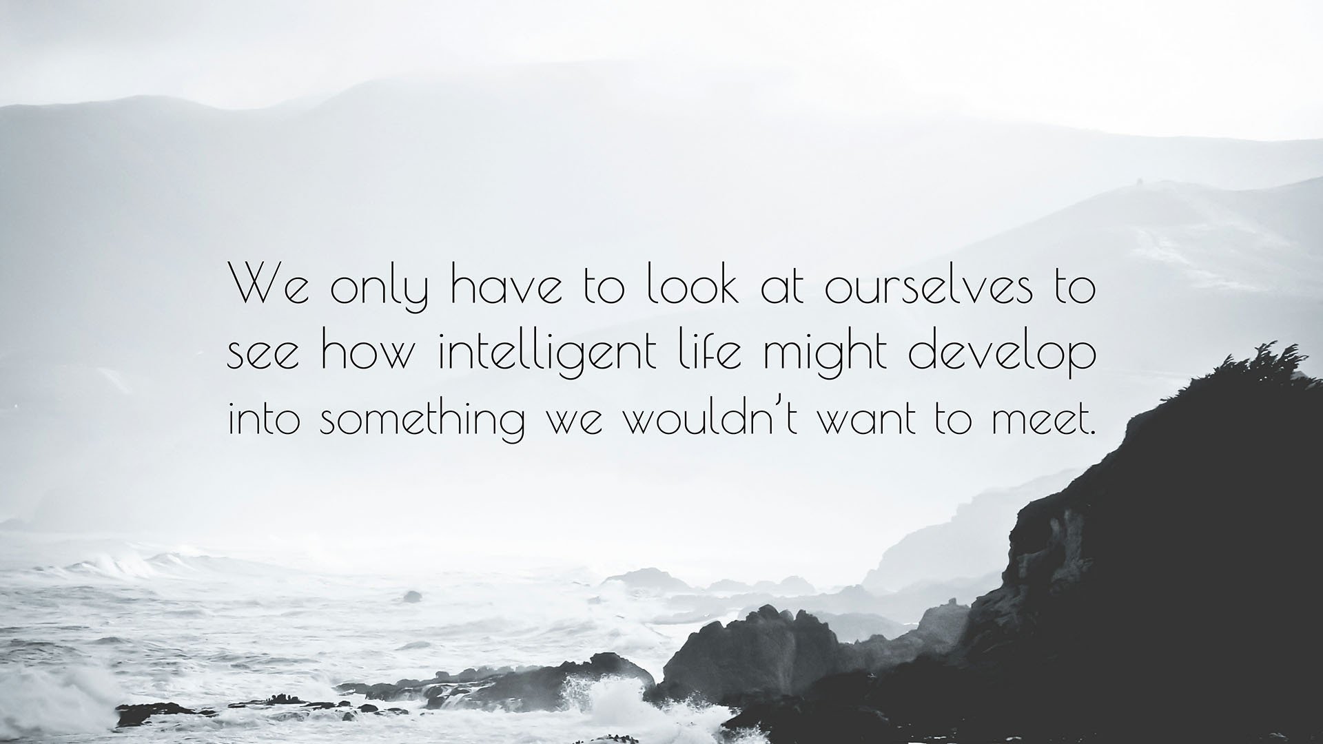 卡塔尔之夜，范戴克铁血指挥，橙色军团攻守如潮，力克芬兰挺进2026